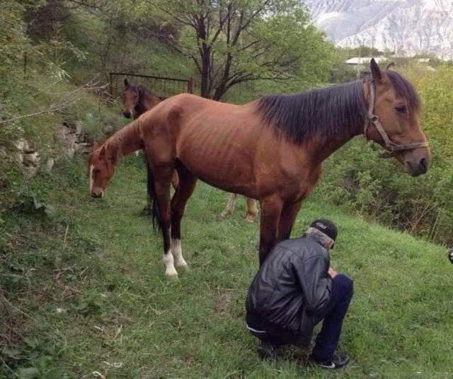 Look twice pictures - #28 