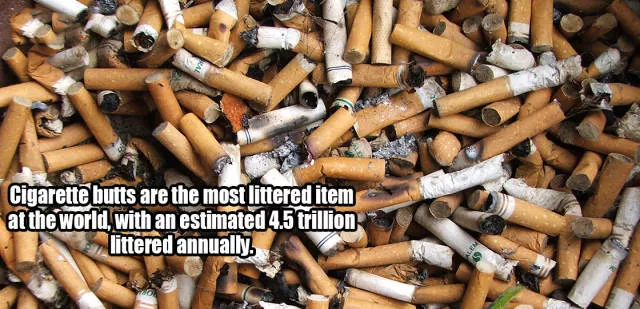 Little known and surprising facts revealed - #19 