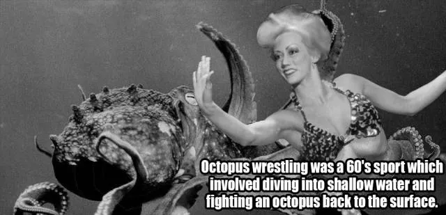 Little known and surprising facts revealed - #3 