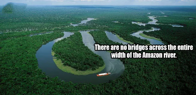 Little known and surprising facts revealed