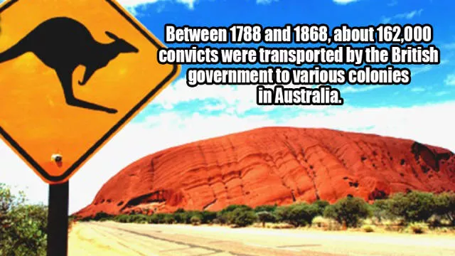 Little known and surprising facts revealed - #9 