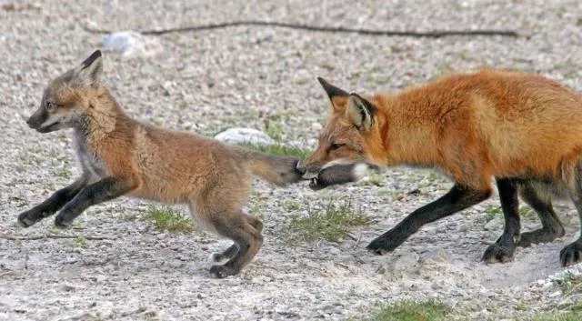 Picdump 178 - #28 