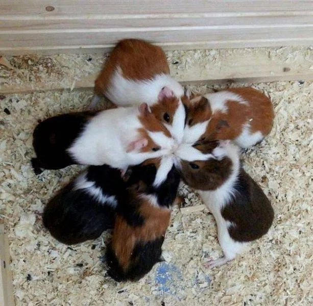 Picdump 178 - #30 