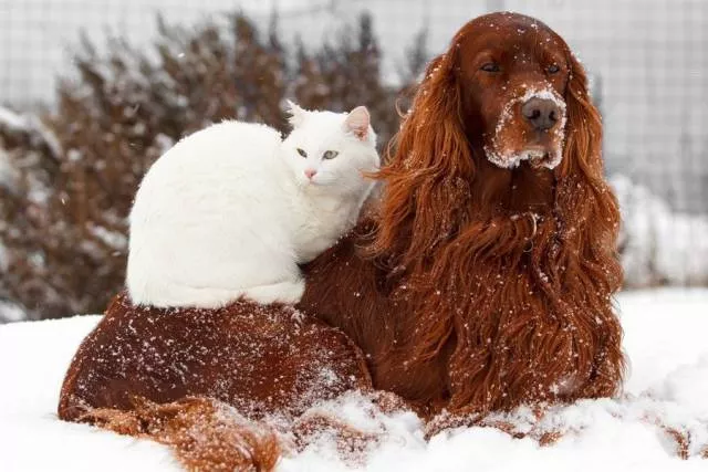 Picdump 178 - #32 
