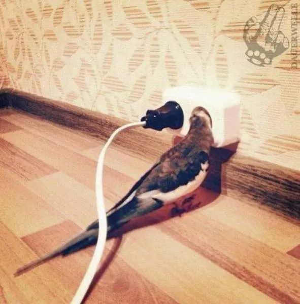 Picdump 178 - #37 