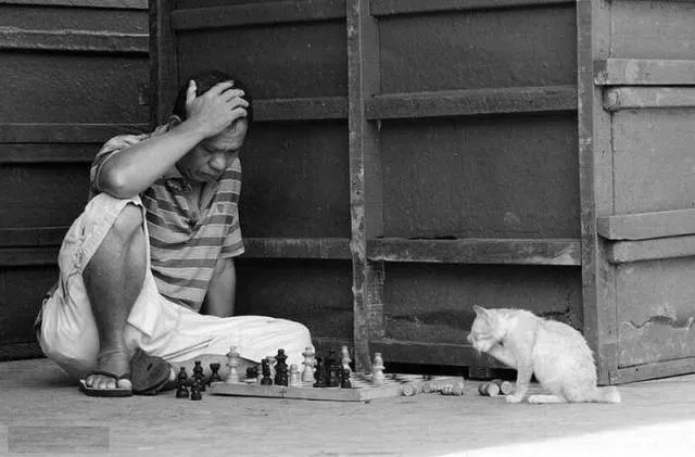 Picdump 178 - #49 