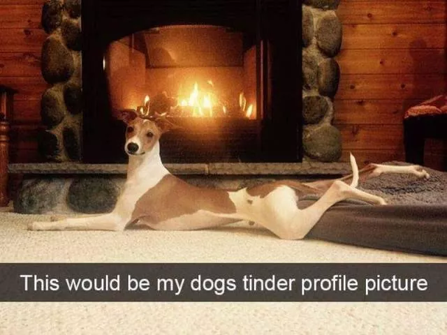 Picdump 178 - #53 