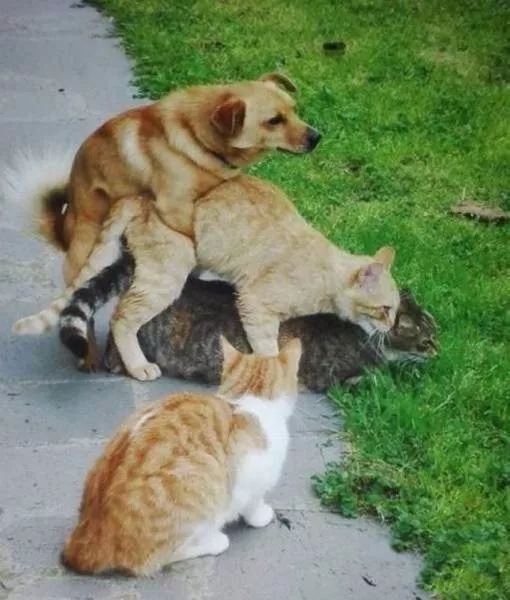 Picdump 178 - #65 