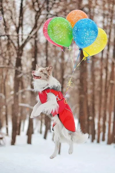 Picdump 178 - #84 