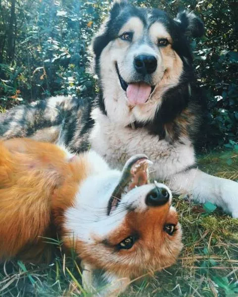 Picdump 178 - #88 