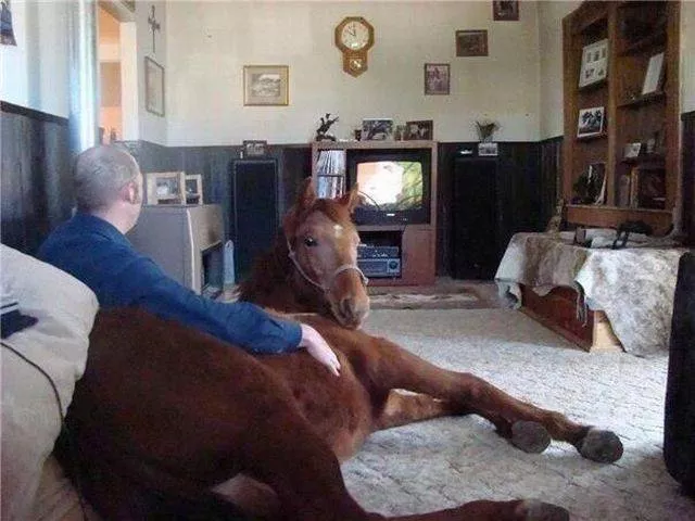 Picdump 178 - #9 