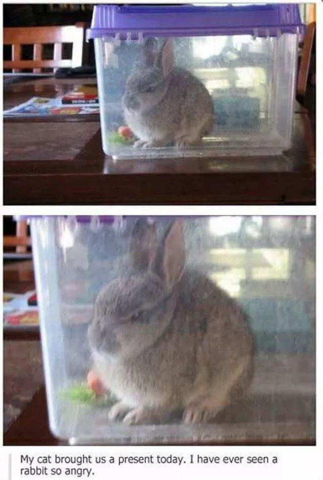 Picdump 178 - #92 