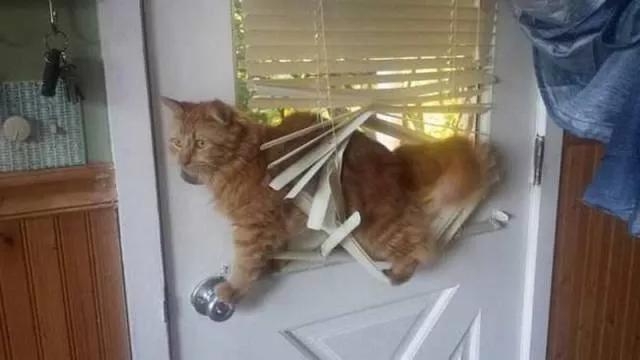 Picdump 179 - #15 