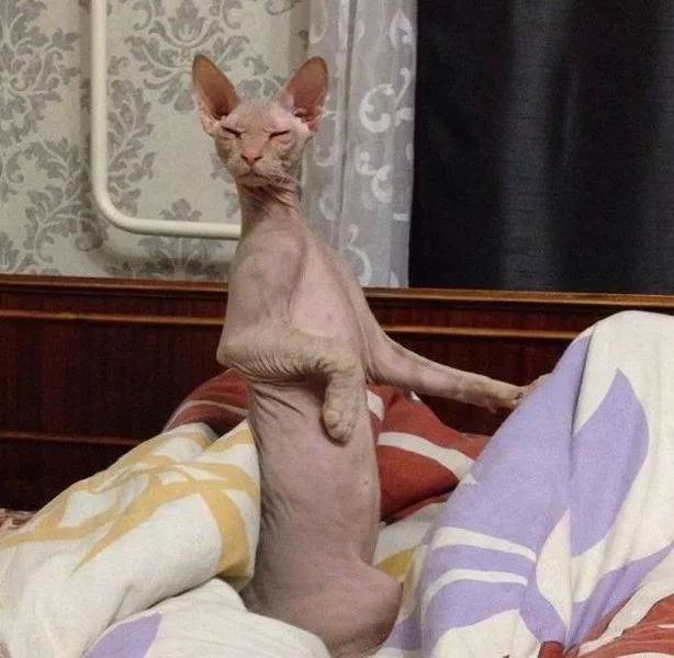Picdump 179 - #19 