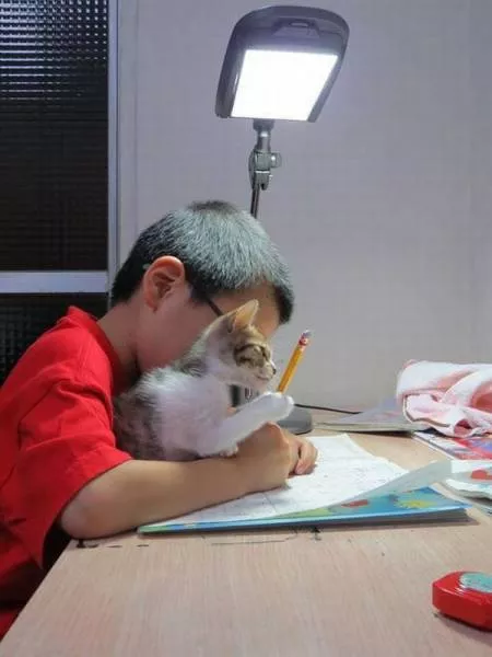 Picdump 179 - #20 