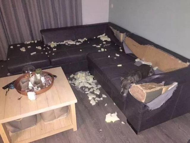 Picdump 179 - #55 