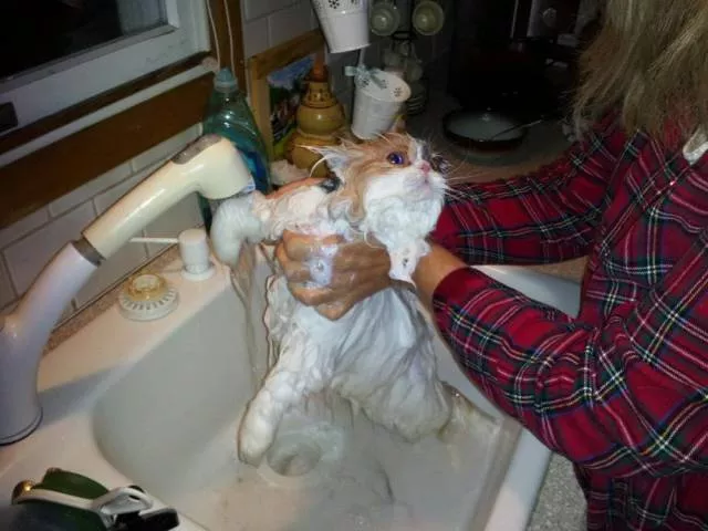 Picdump 179