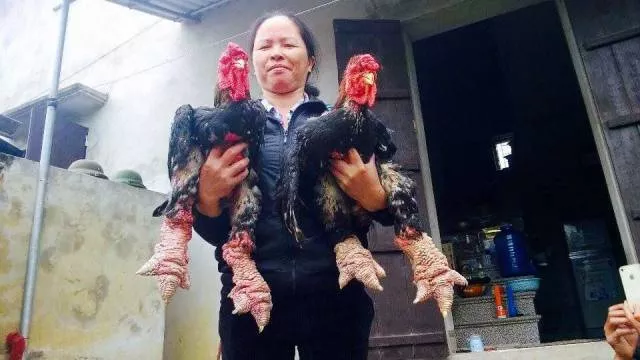 Picdump 179 - #59 