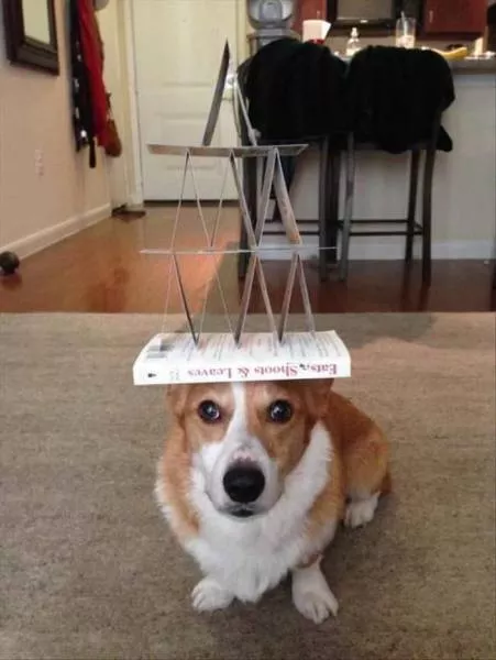 Picdump 179 - #66 