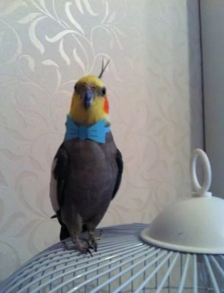 Picdump 179 - #80 