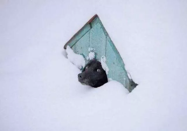 Picdump 179 - #89 