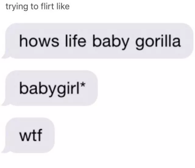 The funniest photos in the world - #10 