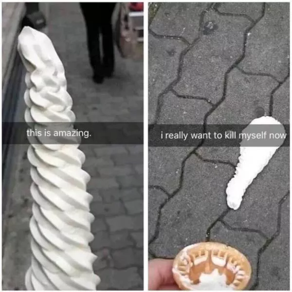 The funniest photos in the world - #12 