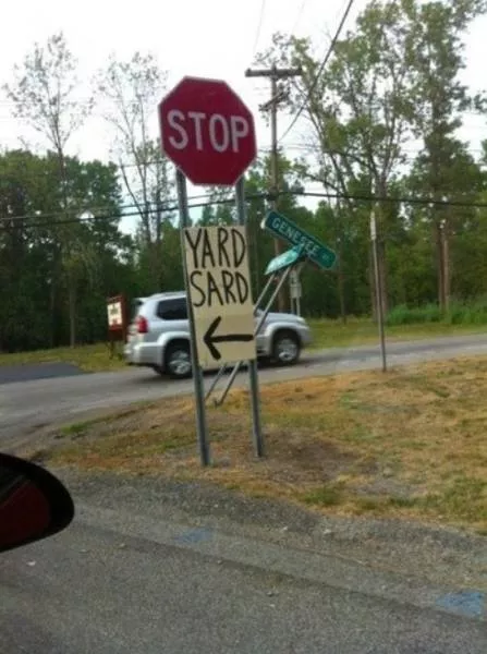 The funniest photos in the world - #17 
