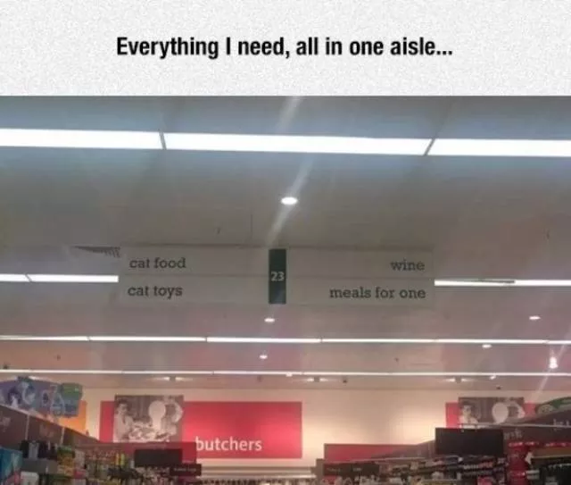 The funniest photos in the world - #21 