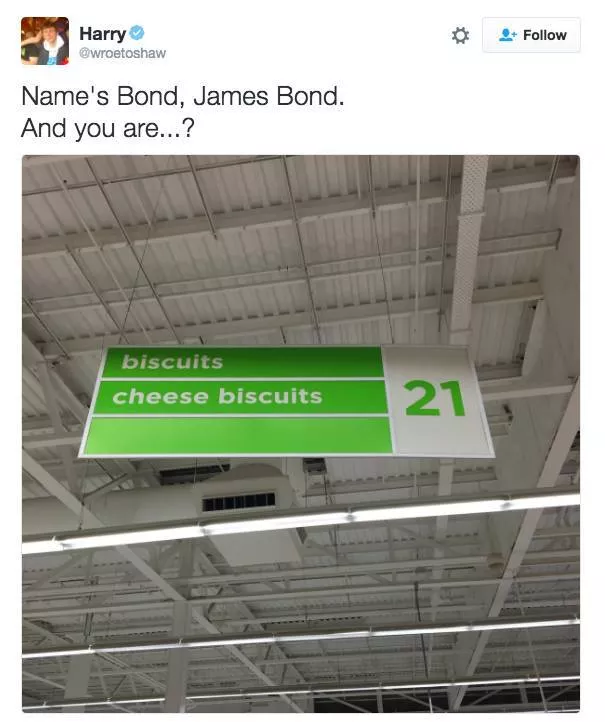 The funniest photos in the world - #26 