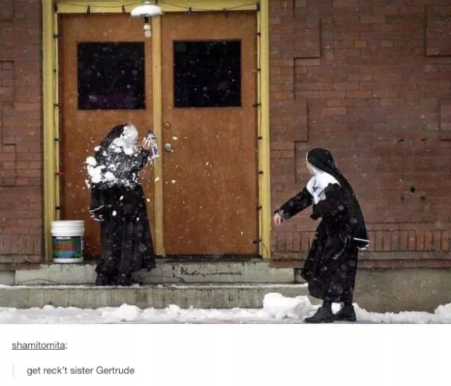 The funniest photos in the world - #29 