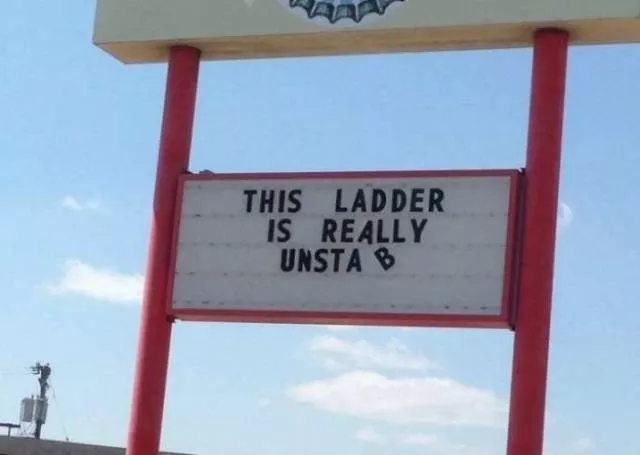 The funniest photos in the world - #38 