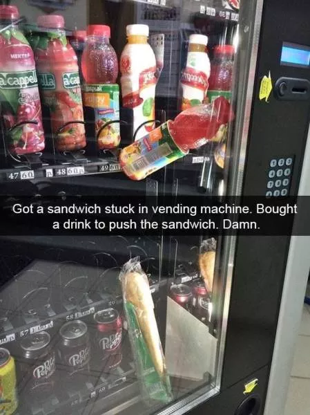 The funniest photos in the world - #40 