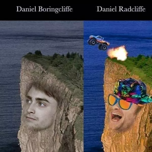 The funniest photos in the world