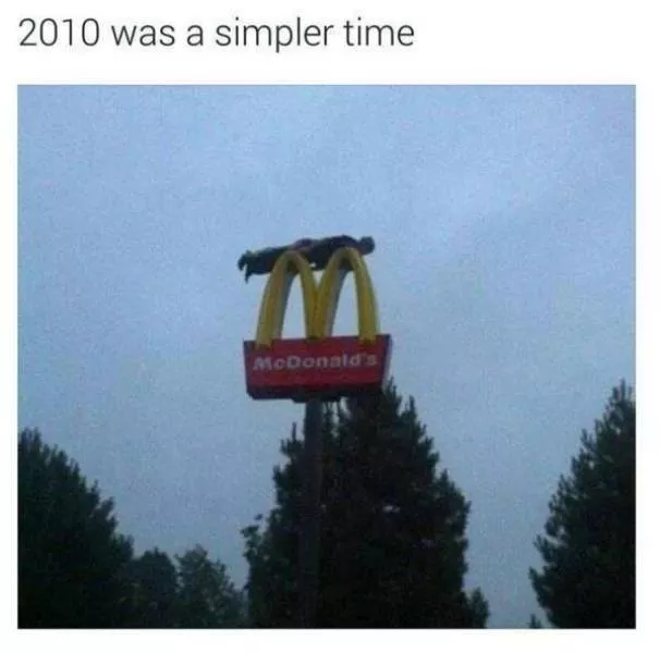 The funniest photos in the world - #44 