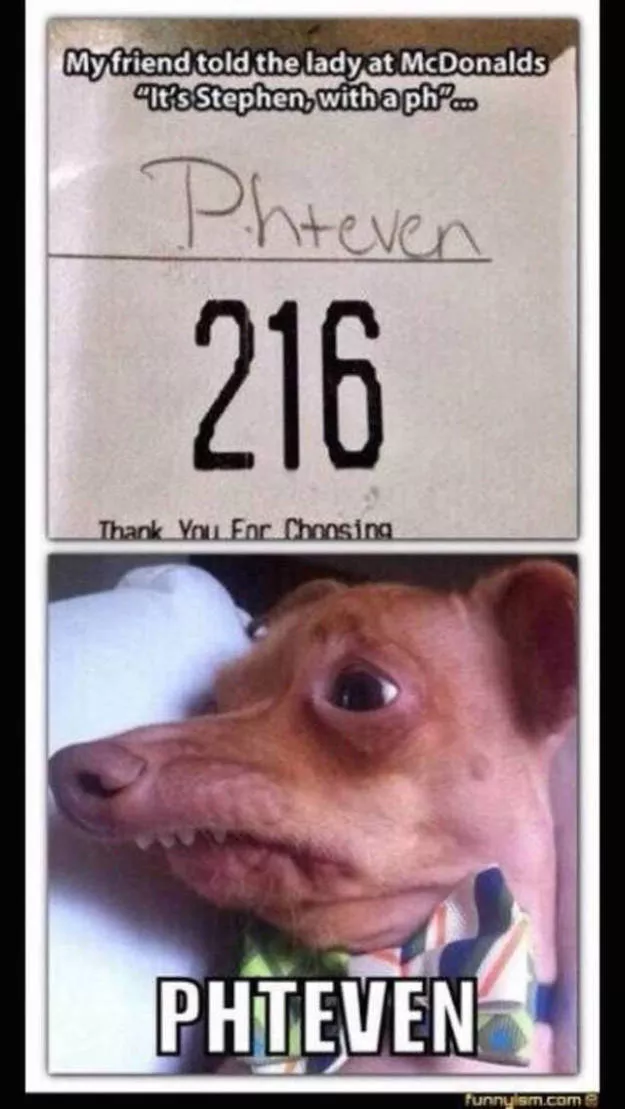 The funniest photos in the world - #46 