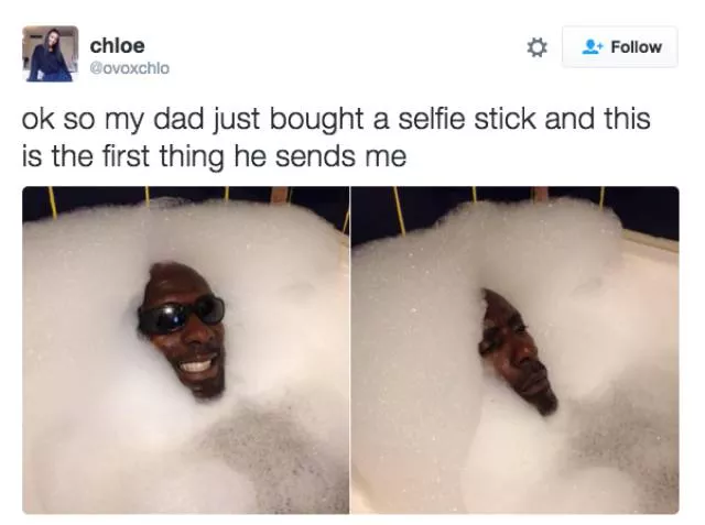 The funniest photos in the world - #49 