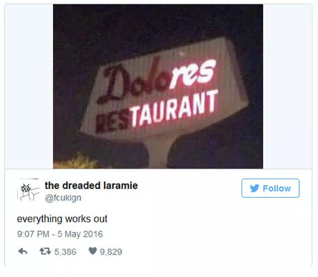 The funniest photos in the world - #5 