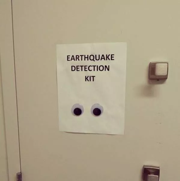 The funniest photos in the world - #50 