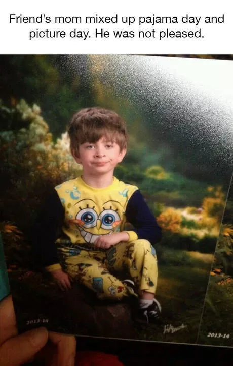 The funniest photos in the world - #53 