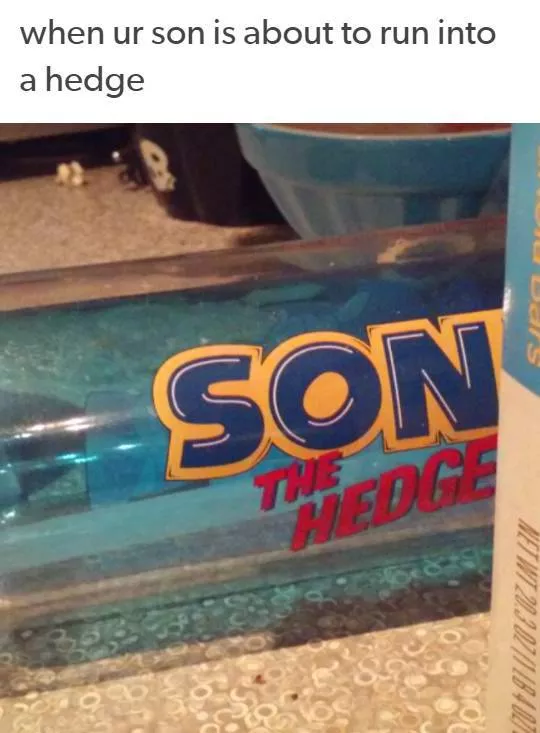The funniest photos in the world - #55 