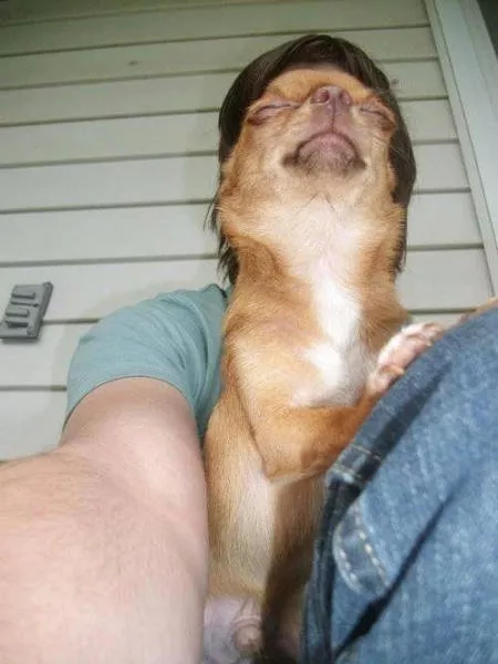 The funniest photos in the world - #57 