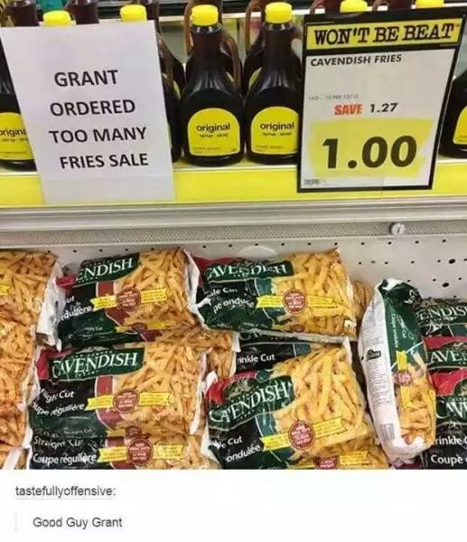 The funniest photos in the world - #59 