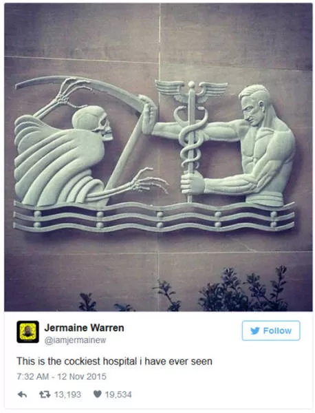 The funniest photos in the world - #7 