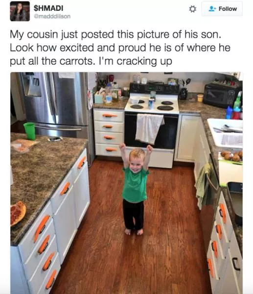 The funniest photos in the world - #71 