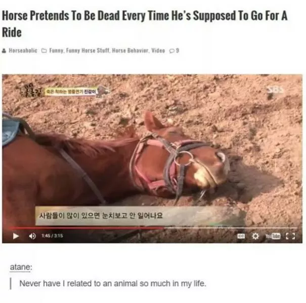 The funniest photos in the world - #9 
