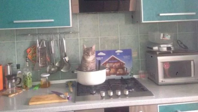 Picdump 180 - #24 