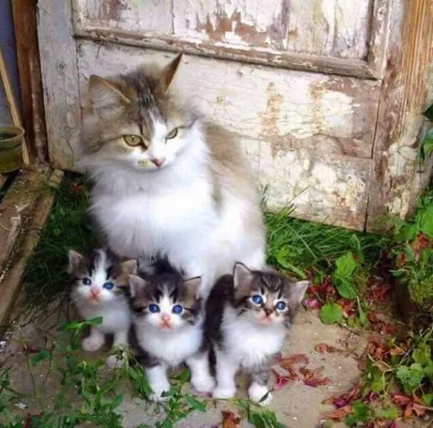 Picdump 180 - #27 