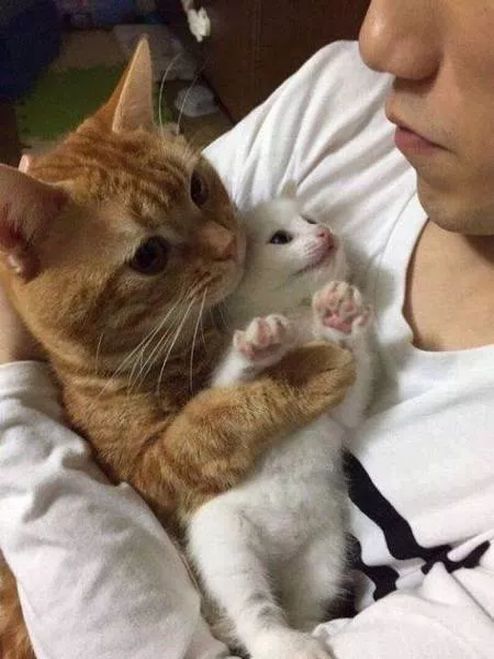 Picdump 180 - #38 