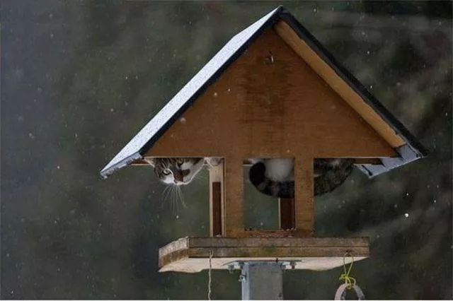 Picdump 180 - #42 
